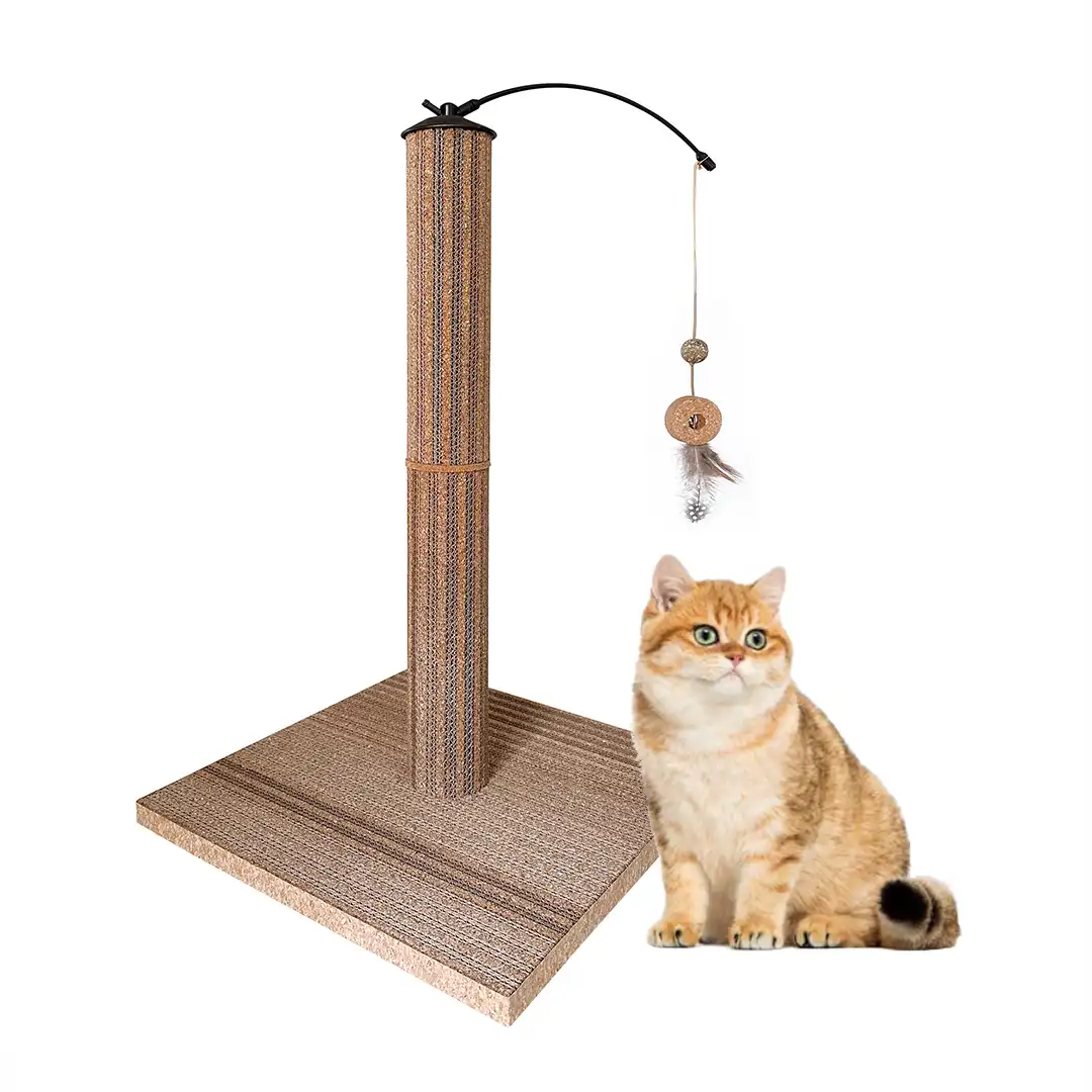 product-pics